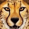 couverture jeu vidéo Ultimate Savanna Simulator