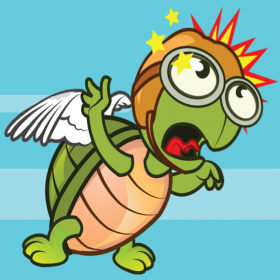 couverture jeu vidéo Un Banging tortue de vol / A Banging Flying Turtle