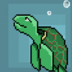 couverture jeu vidéo UnderSea Adventure Flappy Turtle