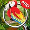 couverture jeu vidéo Unexplored Island - Hidden Object