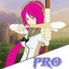 couverture jeu vidéo Victoria Bow and Arrow Tournament PRO