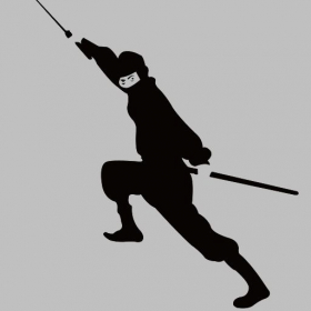 couverture jeu vidéo Virtual Ninja