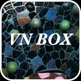 couverture jeu vidéo VN BOX