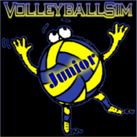 couverture jeu vidéo VolleyballSim Junior
