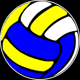 couverture jeu vidéo VolleyballSim