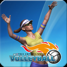 couverture jeu vidéo VTree Entertainment Volleyball