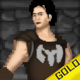 couverture jeu vidéo Warriors Pixel - Les 8 bits épique héros Quest - Gold Edition