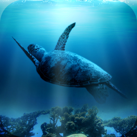 couverture jeux-video Water world - pipe puzzle!
