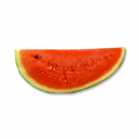couverture jeu vidéo Watermelon Eater