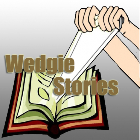 couverture jeu vidéo Wedgie Stories