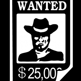 couverture jeu vidéo Western Bar - Pro