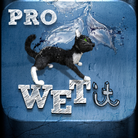 couverture jeu vidéo Wet It Pro