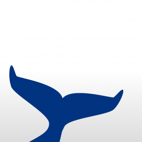 couverture jeu vidéo Whaleo