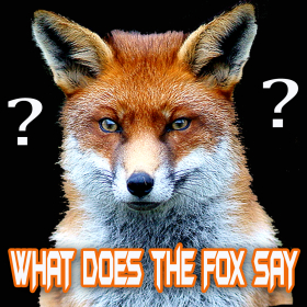 couverture jeu vidéo What does the Fox say
