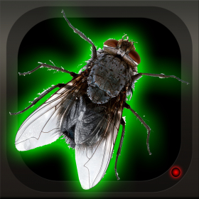 couverture jeu vidéo Where's that Fly?