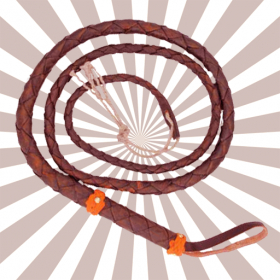 couverture jeu vidéo Whip!!