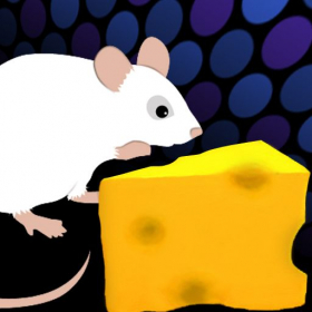 couverture jeu vidéo White Mouse