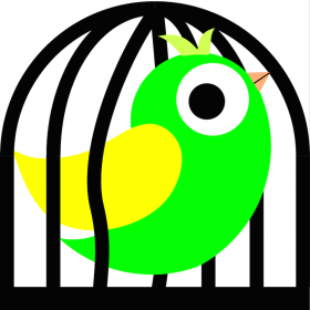 couverture jeu vidéo Who let the bird out ?