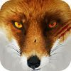couverture jeu vidéo Wild Beach Fox Simulator Attack - 3D Hunter Sim