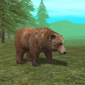 couverture jeu vidéo Wild Bear Pro Simulator 3D