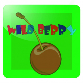 couverture jeu vidéo Wild Berry