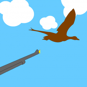 couverture jeu vidéo Wild Bird Shooter