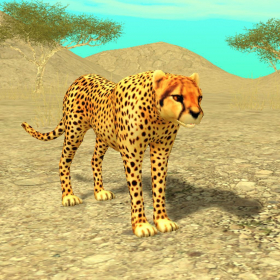 couverture jeu vidéo Wild Cheetah Sim 3D