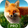 couverture jeu vidéo Wild Forest Hunt Pro