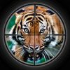 couverture jeu vidéo Wild King Lion Extreme Jungle Hunting Pro