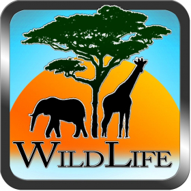 couverture jeu vidéo Wild Life IO