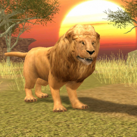 couverture jeu vidéo Wild Lion Pro Simulator 3D