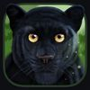 couverture jeu vidéo Wild Panther Sim 3D: Rainforest RPG Adventures
