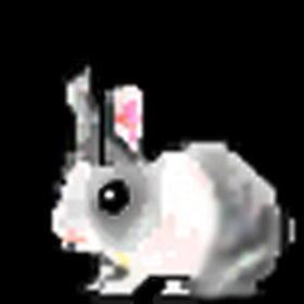 couverture jeu vidéo Wild Rabbit