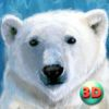 couverture jeux-video Wild White Polar Bear Simulator Full