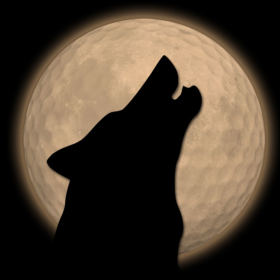 couverture jeu vidéo Wolf the Golf Game