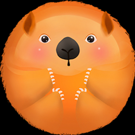 couverture jeu vidéo Wombat Wobble