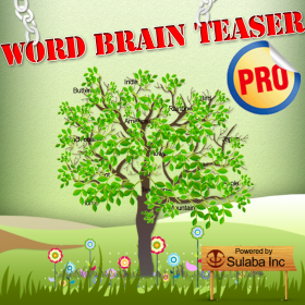 couverture jeu vidéo Word Brain Teasers Pro - Teach, Learn and Quiz English Word