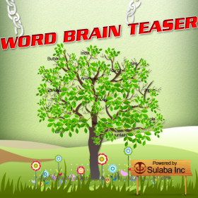 couverture jeu vidéo Word Brain Teasers  - Teach, Learn and Quiz English Word