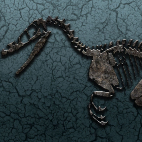 couverture jeu vidéo World of Dinos
