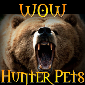couverture jeu vidéo World of Warcraft Hunter Pets