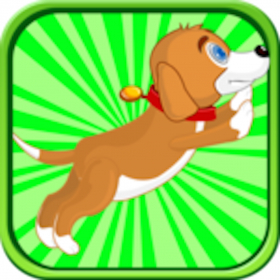 couverture jeu vidéo Wrong Way Dog Racing - Racer Run