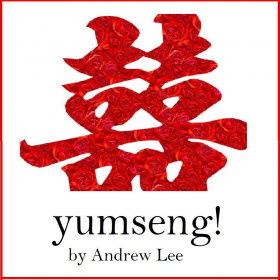 couverture jeu vidéo yumseng