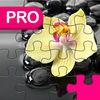couverture jeu vidéo Zen Jigsaw Puzzle Pro Edition For Daily Fun & Adventure