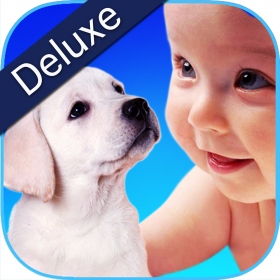 couverture jeu vidéo ZOOLA Animaux Deluxe