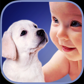 couverture jeu vidéo ZOOLA Animaux