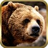 extrait jeux-video 2016 American Bear Hunter Pro Challenge Pro - African Safari Animal Sniper Shooting (Hunting Season)