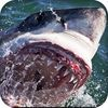 extrait jeux-video 2016 Hungry Shark Teeth Pro - Hunting Season Free games
