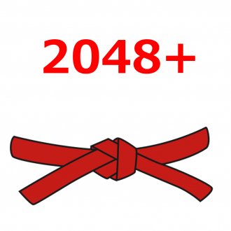 extrait jeux-video 2048 Plus Pro