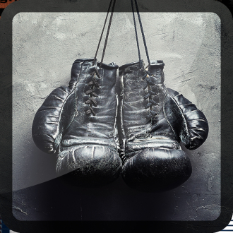 extrait jeux-video 3D Boxing Fury punch out bague King jongler Pro