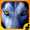 extrait jeux-video 3D Wolf Simulator  - Killing Way to White Wolf